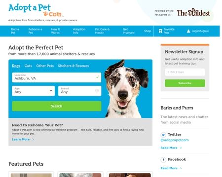 Adopt A Pet Reviews 50 Reviews Of Adoptapet Com Sitejabber