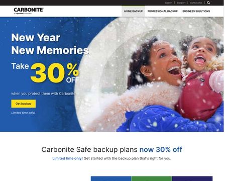 how much does carbonite cost per month