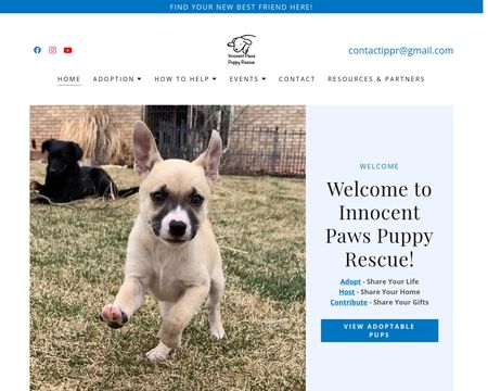 Innocent paws sales puppy rescue