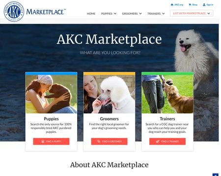 marketplace akc org puppies