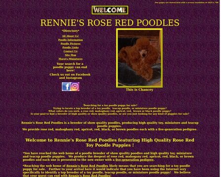 rennies poodles