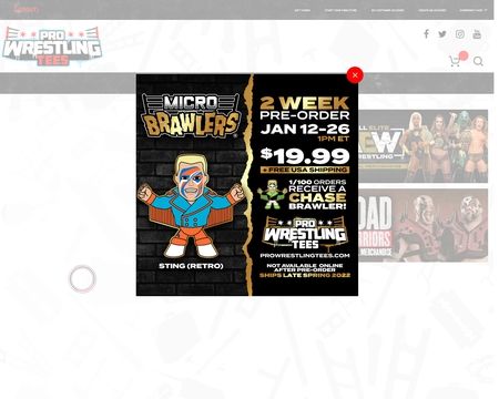 Pro Wrestling Tees - 22 new micro brawlers set to release on-line